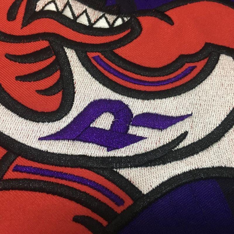 Vince Carter Toronto Raptors Throwback Jersey - Image 4